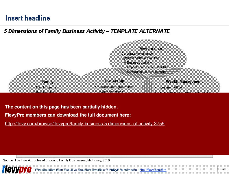 Family Business: 5 Dimensions of Activity (20-slide PPT PowerPoint presentation (PPT)) Preview Image