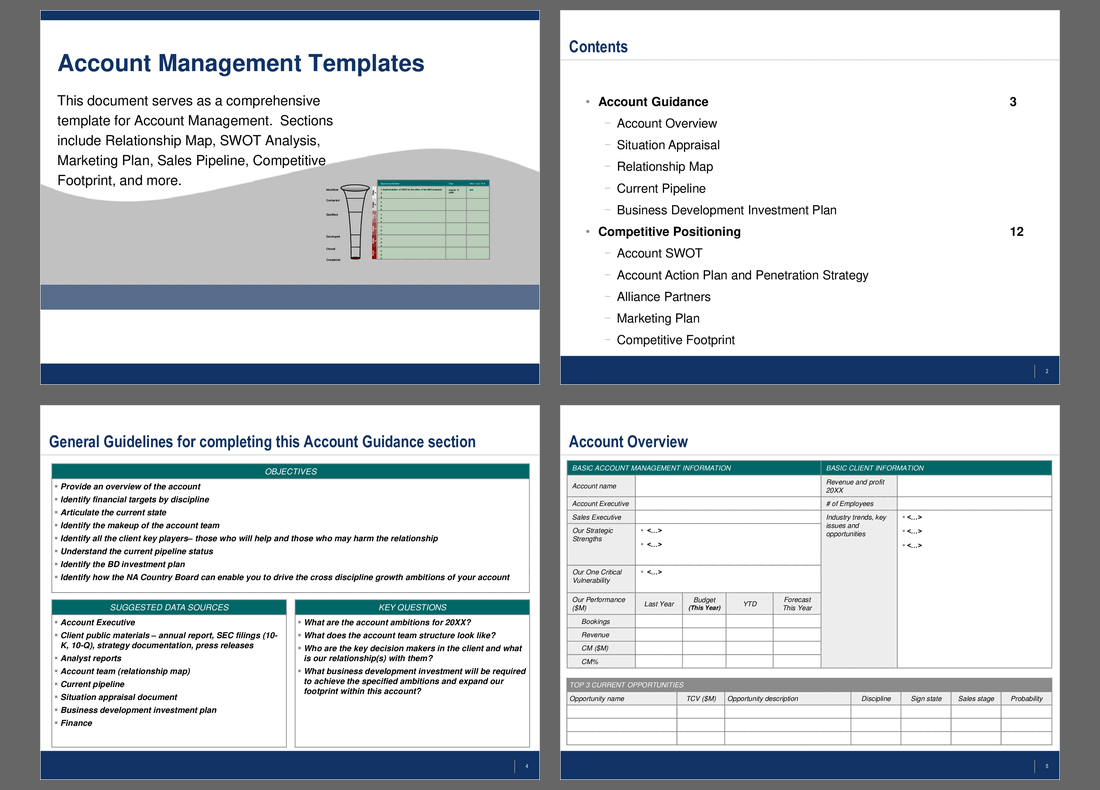 Strategic Account Plan Template 8 Free Word Pdf