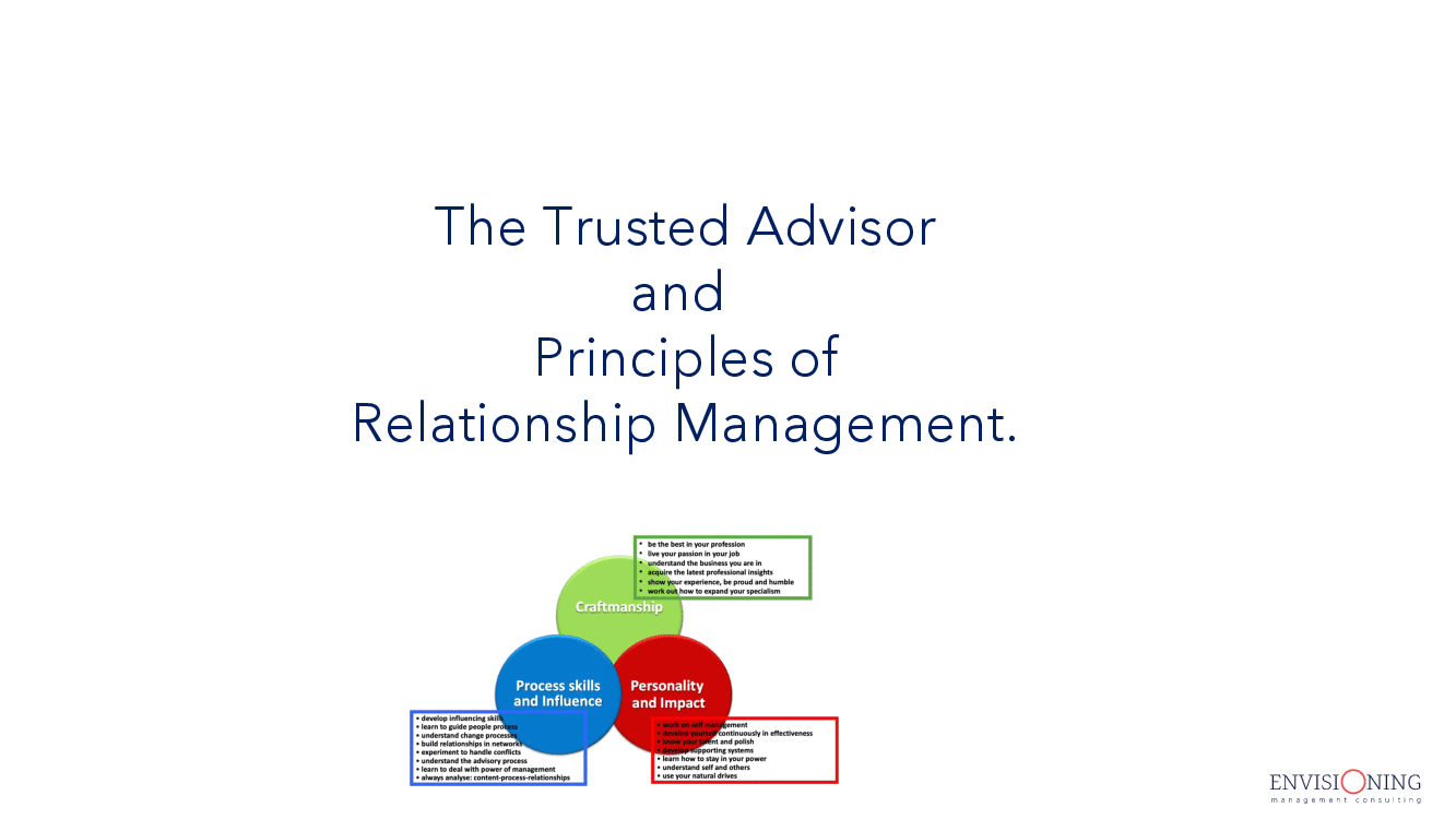 Trusted Advisory Skills for Professionals (38-page PDF document) Preview Image