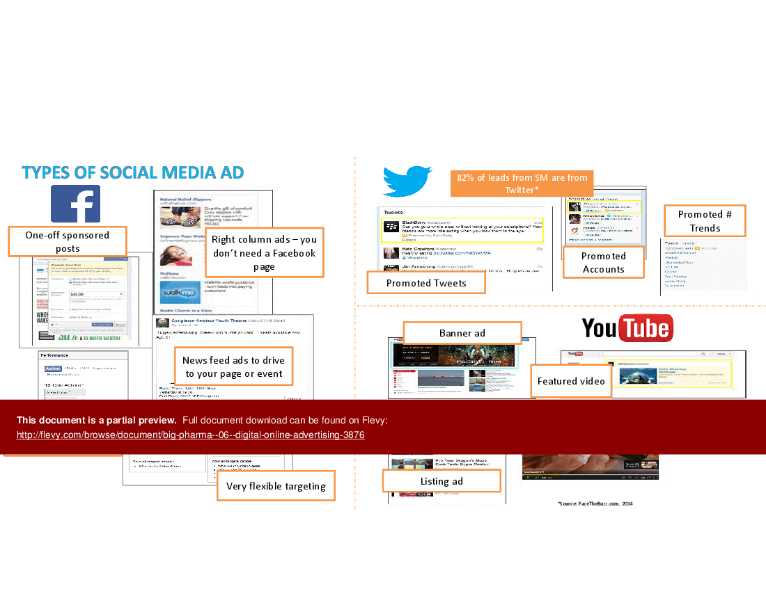 Big Pharma (Module 6): Digital Online Advertising (33-slide PPT PowerPoint presentation (PPTX)) Preview Image