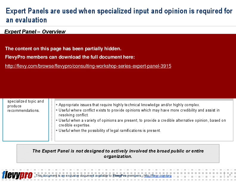 This is a partial preview of Consulting Workshop Series: Expert Panel (28-slide PowerPoint presentation (PPT)). Full document is 28 slides. 