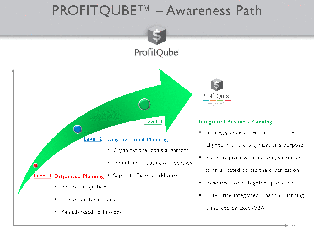 ProfitQube Production Pro - Integrated Financial Planning (72-page PDF document) Preview Image