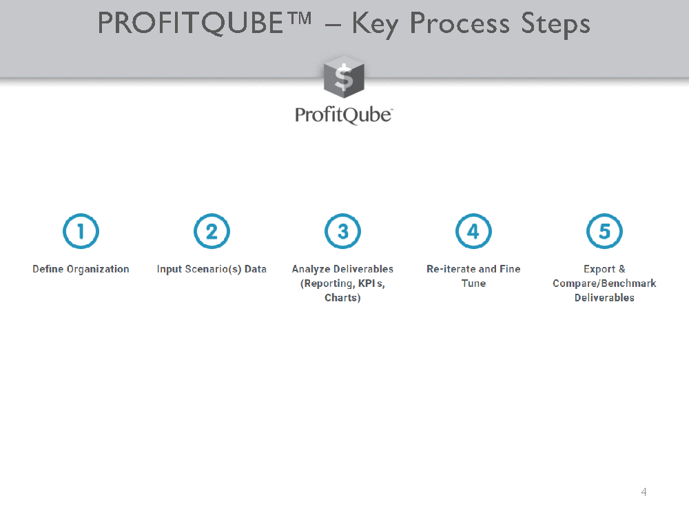 ProfitQube Production - Integrated Financial Planning (71-page PDF document) Preview Image