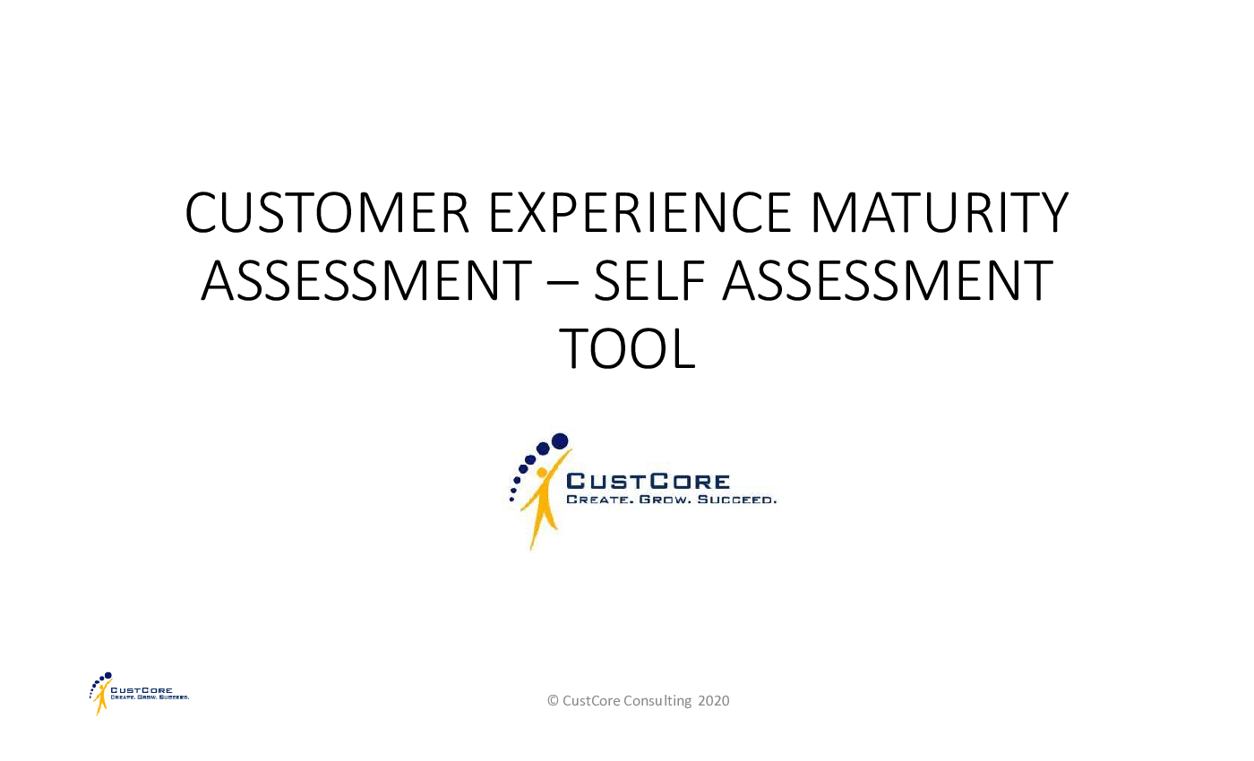 Customer Experience Maturity Assessment