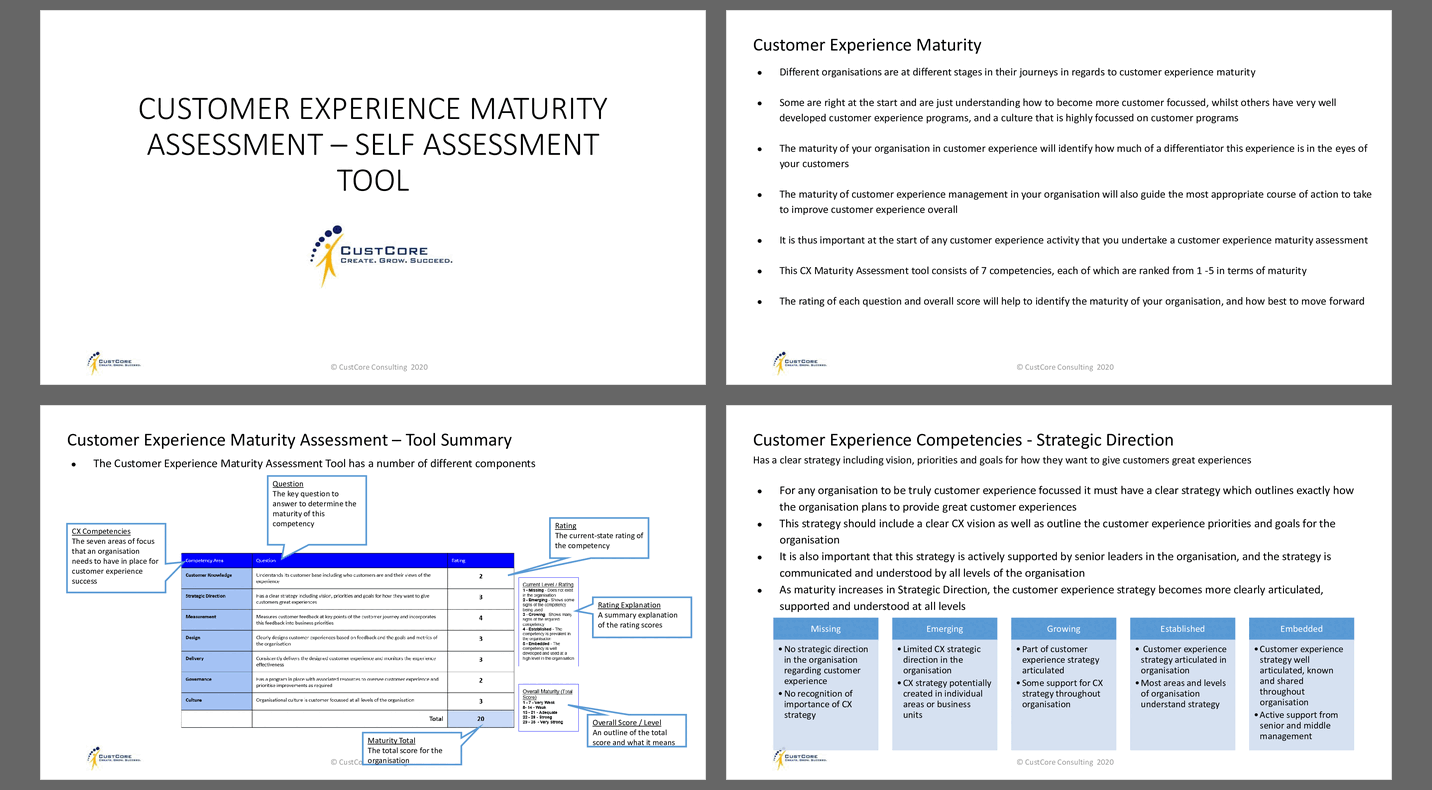 Customer Experience Maturity Assessment