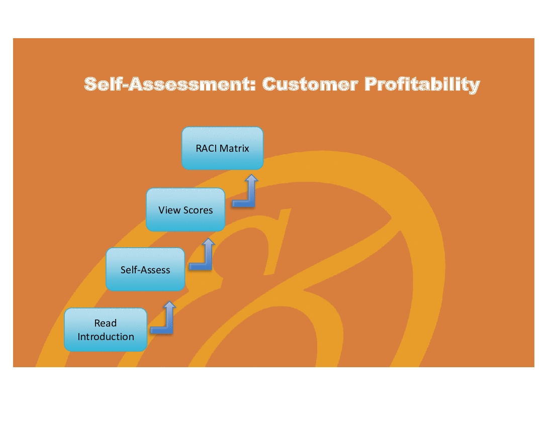 Customer Profitability - Implementation Toolkit (Excel template (XLSX)) Preview Image