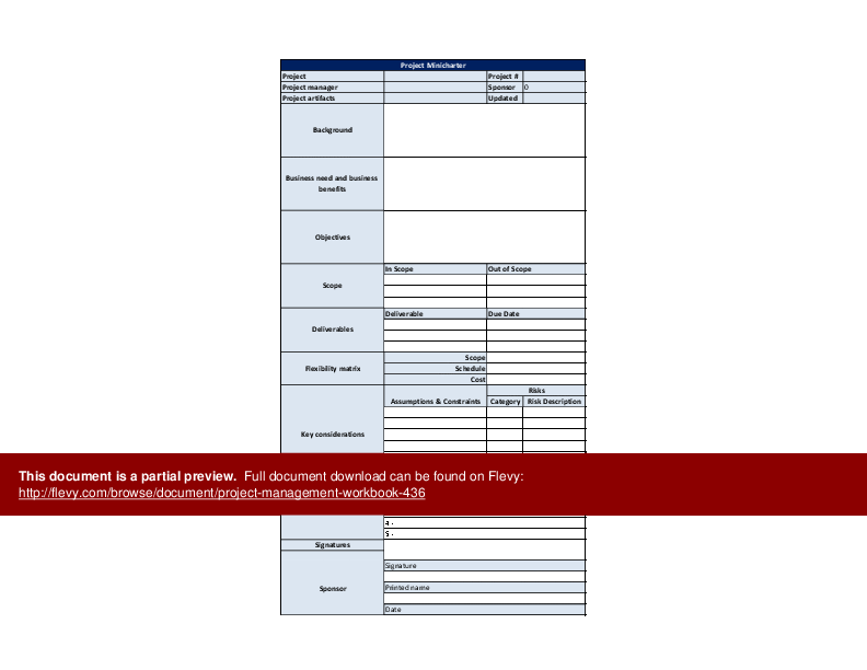 Project Management Workbook (Excel template (XLS)) Preview Image