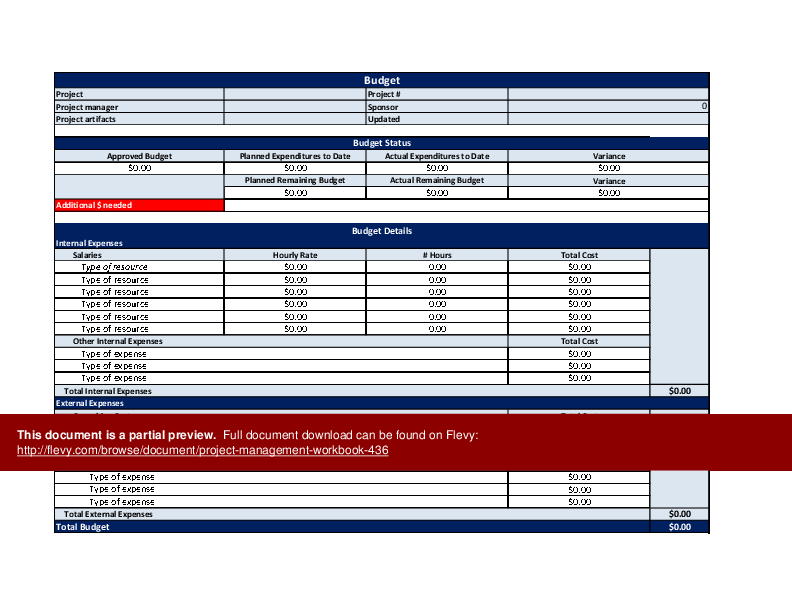 Project Management Workbook (Excel template (XLS)) Preview Image