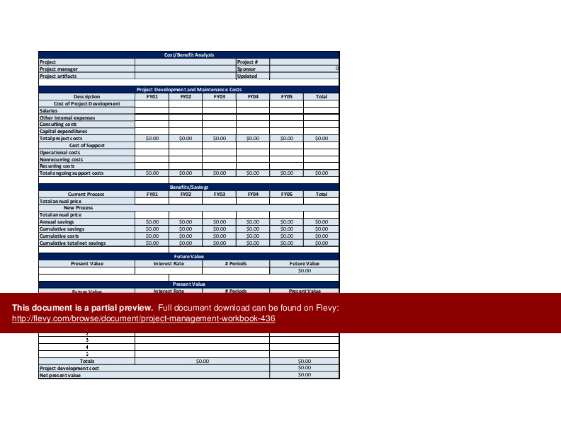 Project Management Workbook (Excel template (XLS)) Preview Image