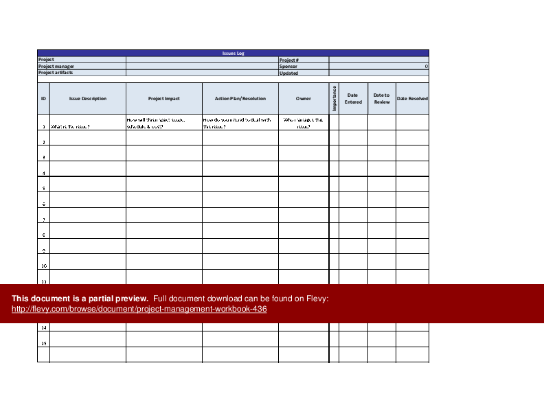 Project Management Workbook (Excel template (XLS)) Preview Image