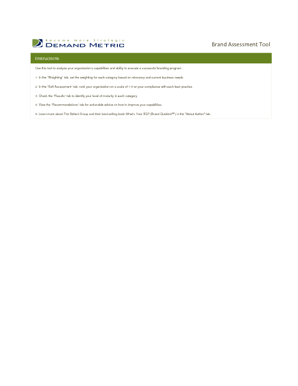 Brand Assessment Tool (Excel template (XLS)) Preview Image