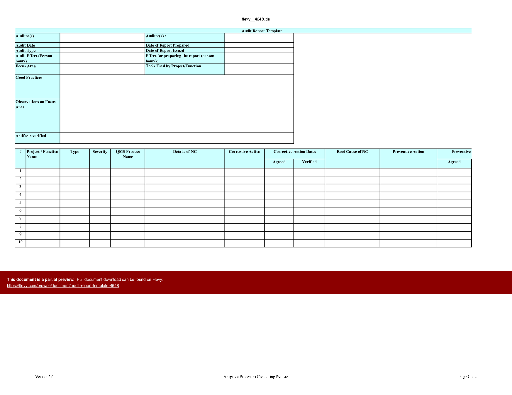 Audit Report Template (Excel template (XLS)) Preview Image
