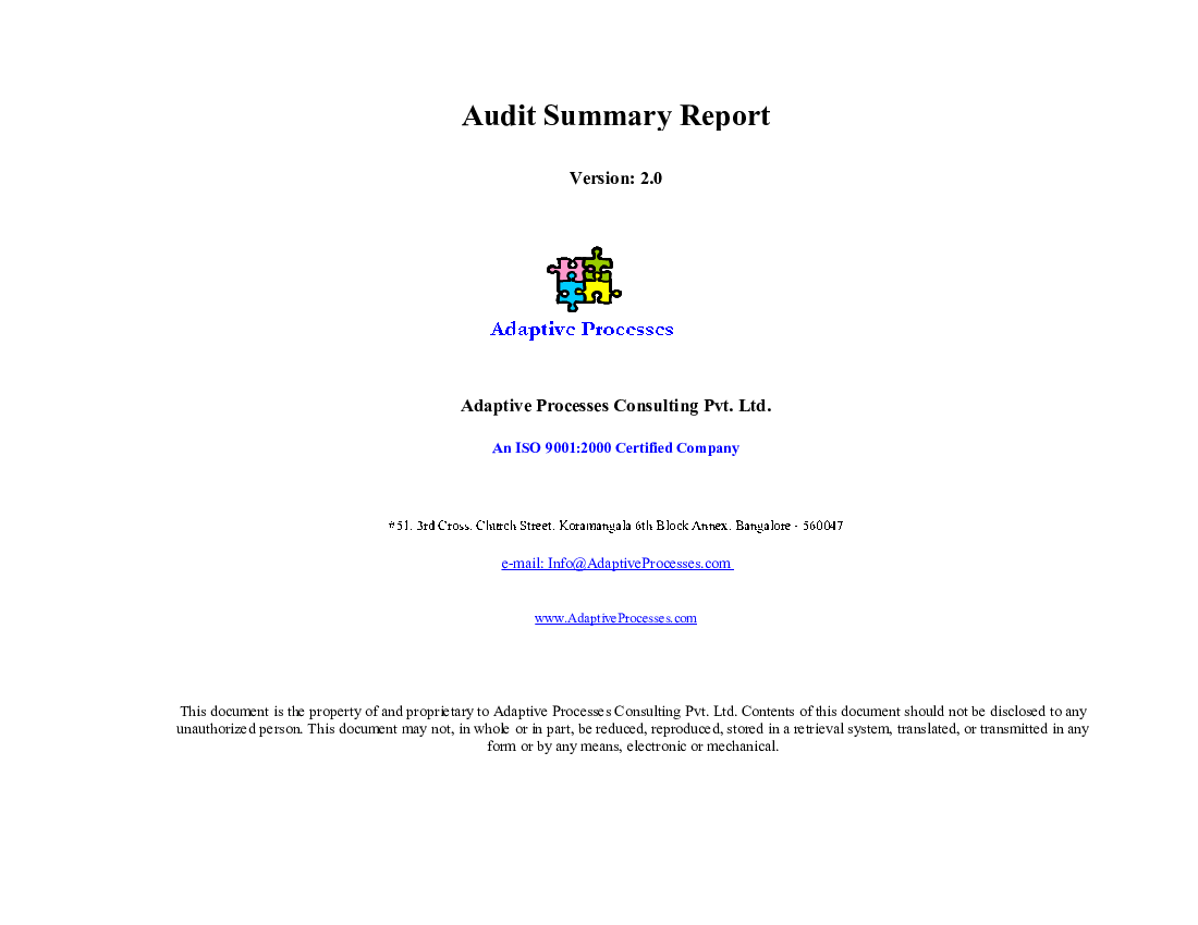 Audit summary report (Excel template (XLS)) Preview Image