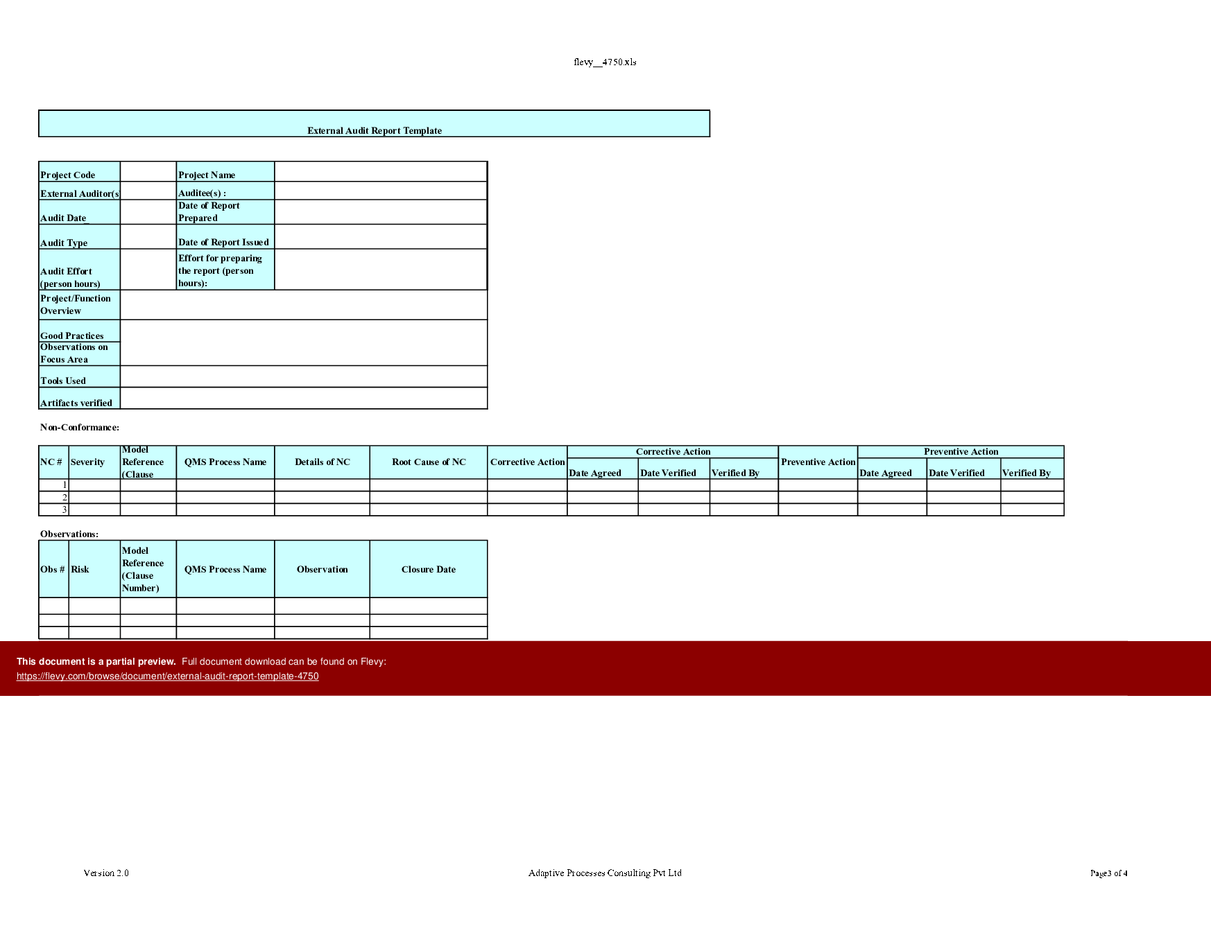 External Audit Report Template (Excel template (XLS)) Preview Image