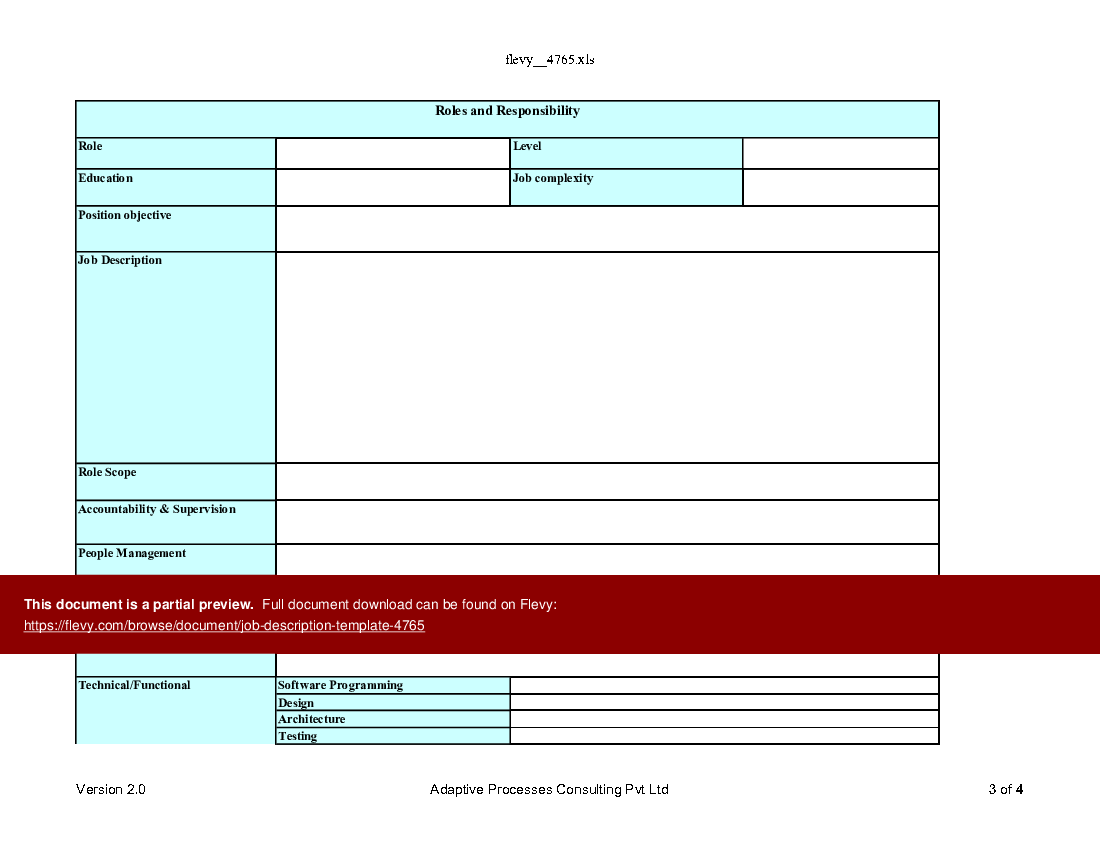 Excel Template Job Description Template (Excel template XLS) Flevy