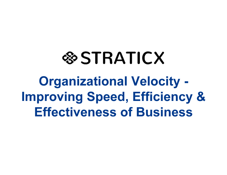 Organizational Velocity - Improving Speed, Efficiency & Effectiveness of Business