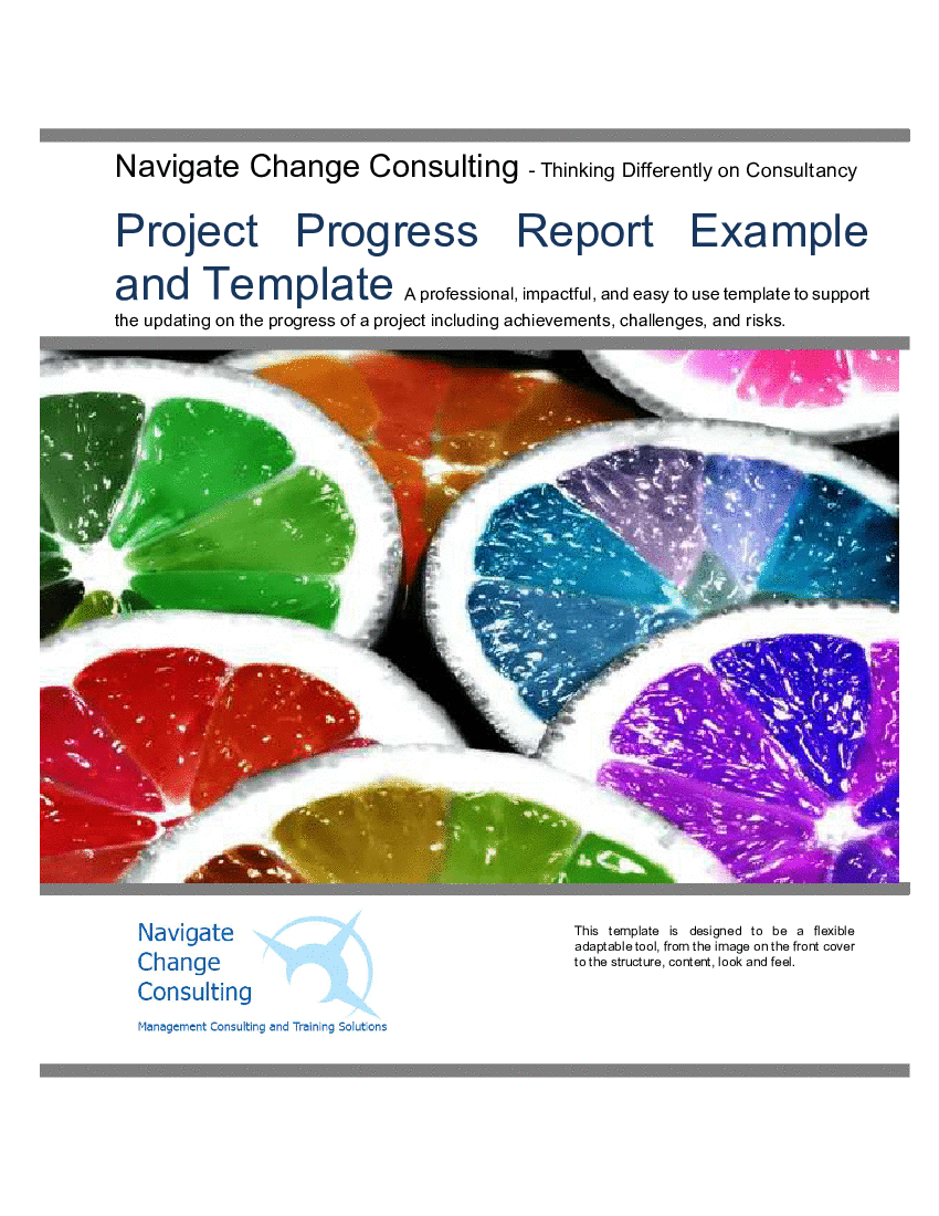 Project Progress Report Example and Template (19-page Word document) Preview Image