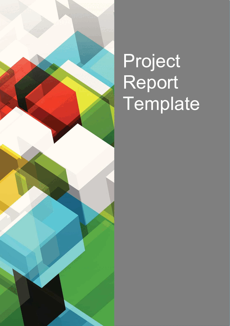 This is a partial preview of Project Report Template (27-page Word document). Full document is 27 pages. 