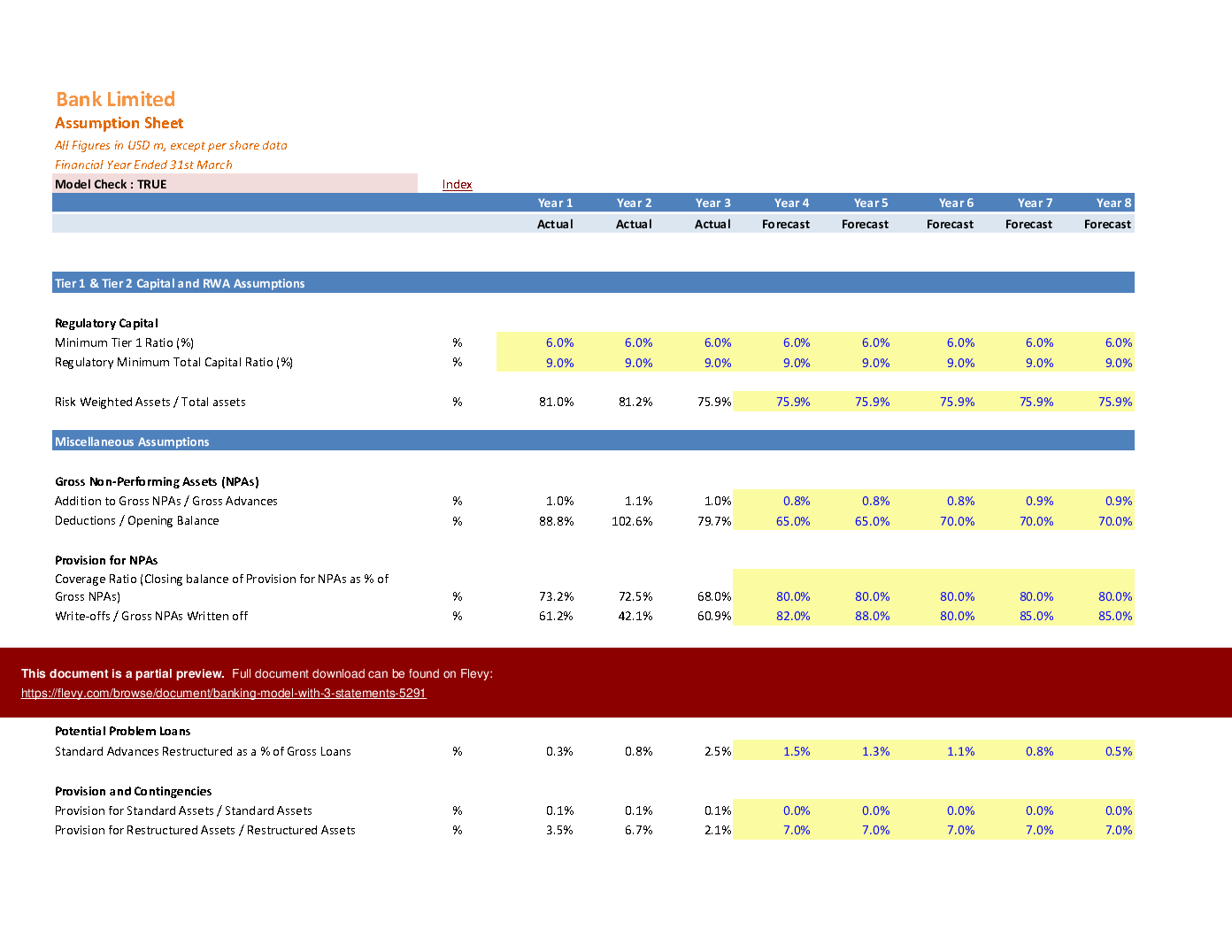 Banking Model with 3 Statements (Excel template (XLSM)) Preview Image