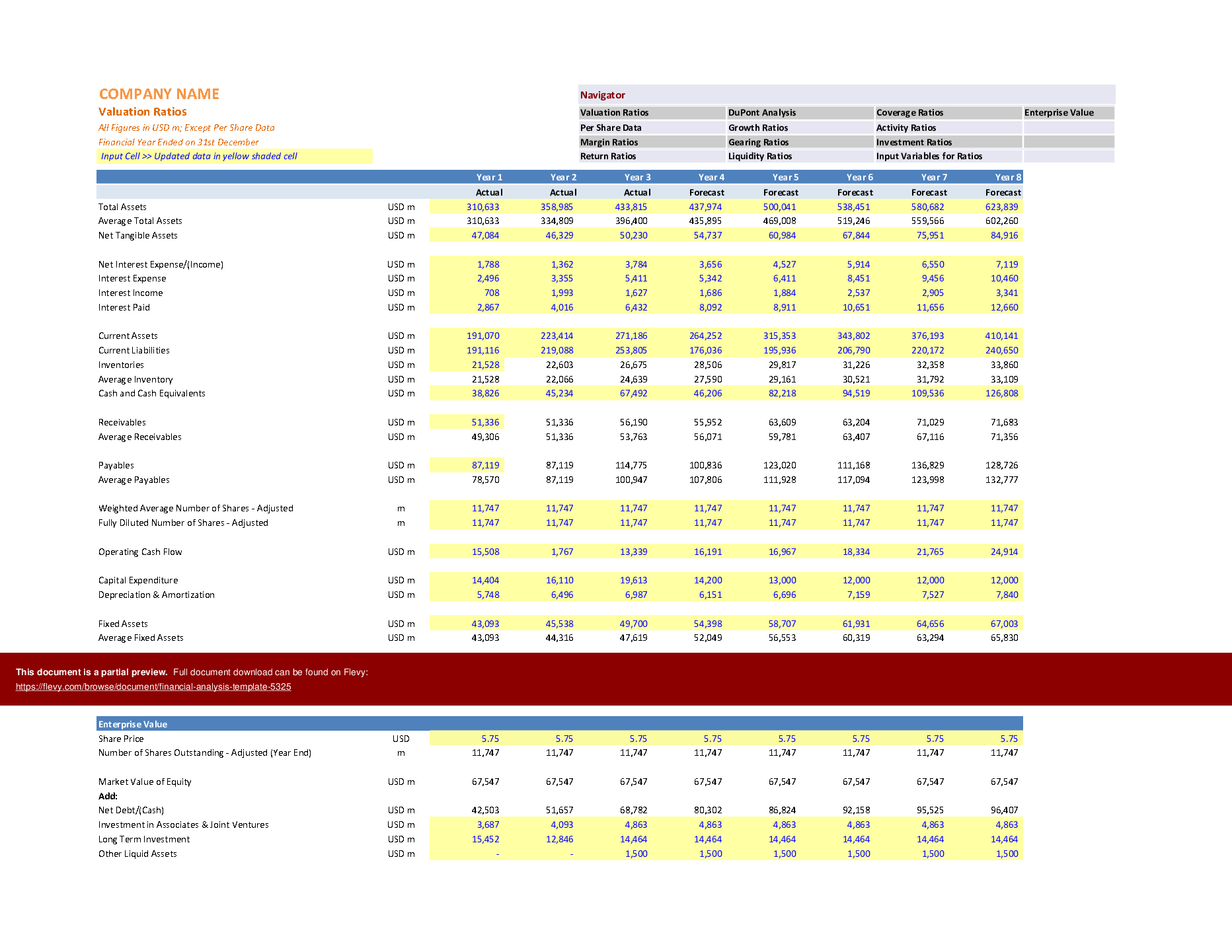 Financial Analysis Template (Excel template (XLSX)) Preview Image