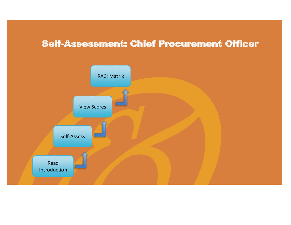 Chief Procurement Officer - Implementation Toolkit