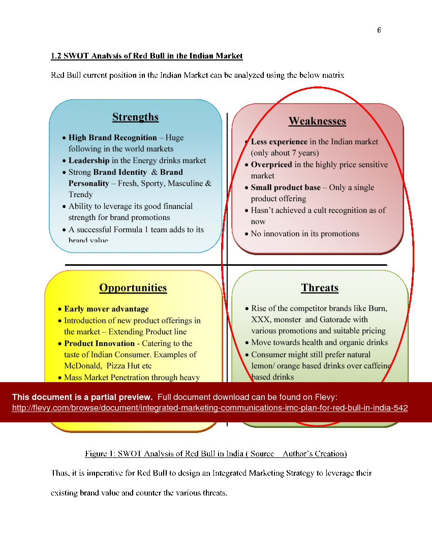 Integrated Marketing Communications (IMC) Plan for Red Bull in India (30-page Word document) Preview Image