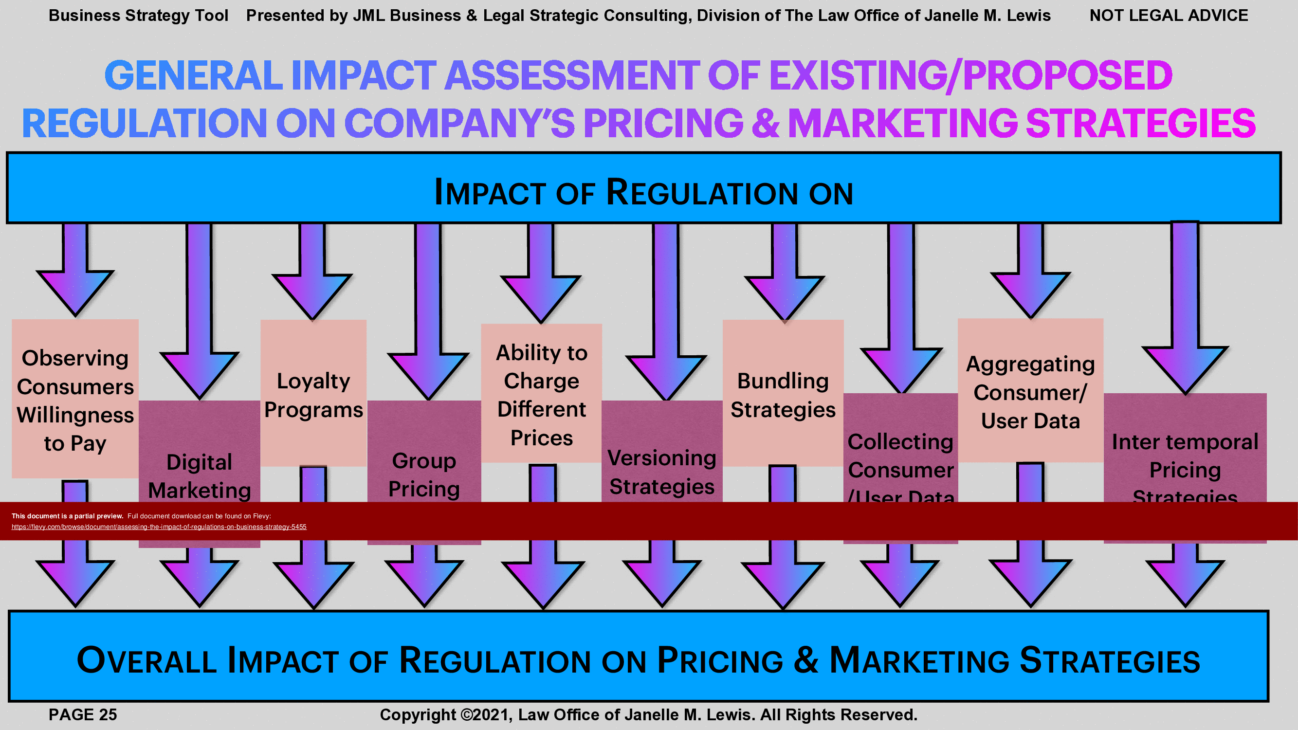 Assessing the Impact of Regulations on Business Strategy (25-page PDF document) Preview Image