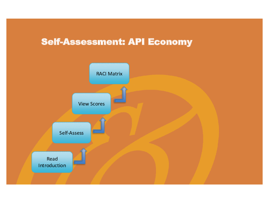 API Economy - Implementation Toolkit (Excel template (XLSX)) Preview Image