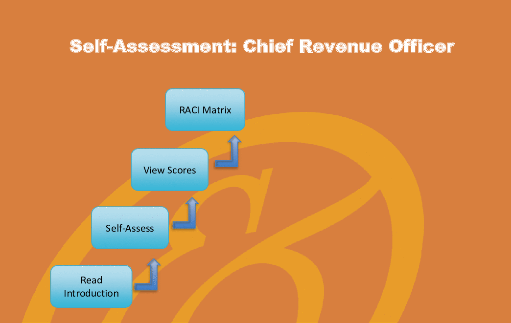 Chief Revenue Officer (CRO) - Implementation Toolkit (Excel workbook (XLSX)) Preview Image