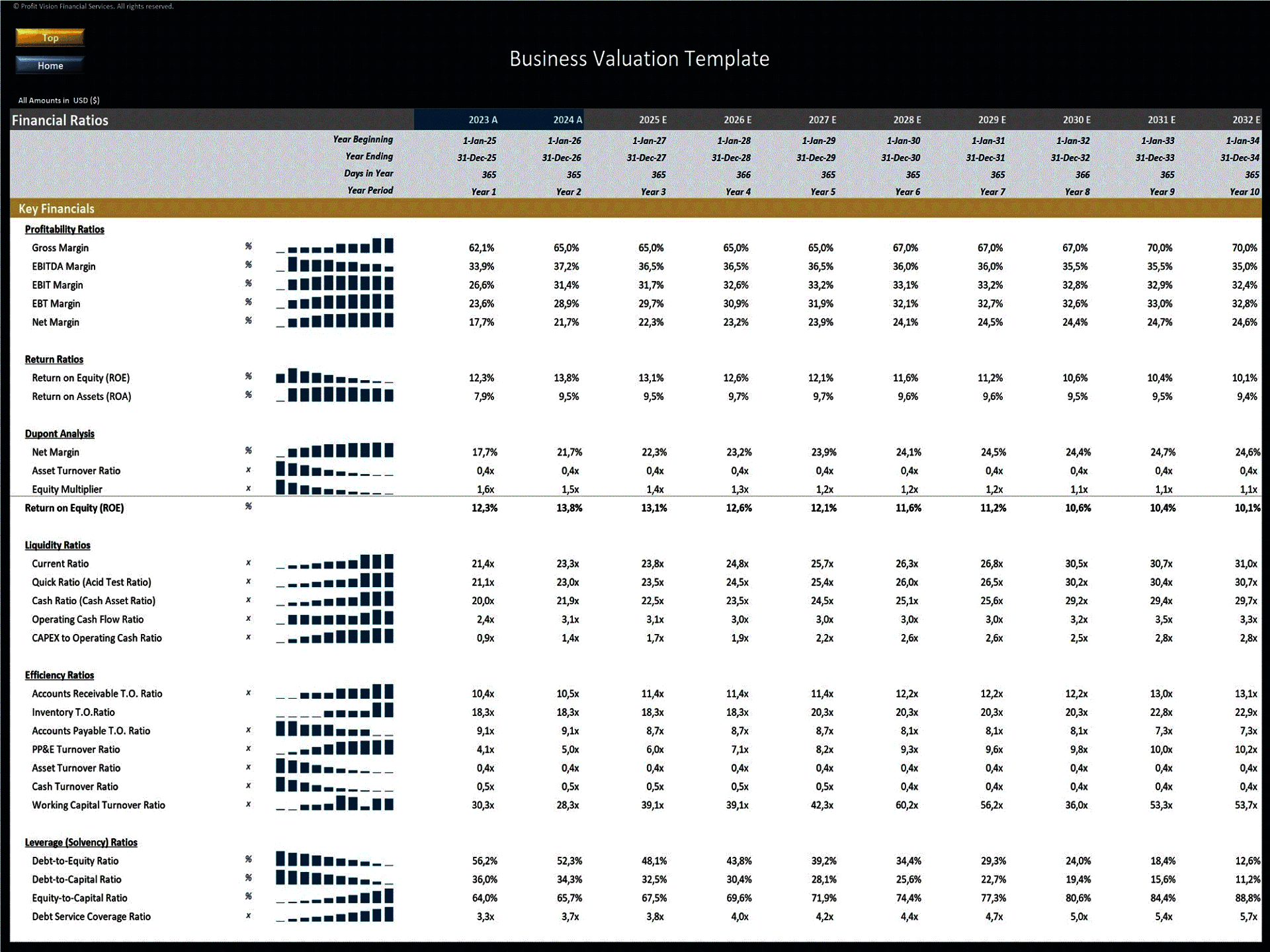 Discounted Cash Flow (DCF) - Business Valuation Model (Excel template (XLSX)) Preview Image