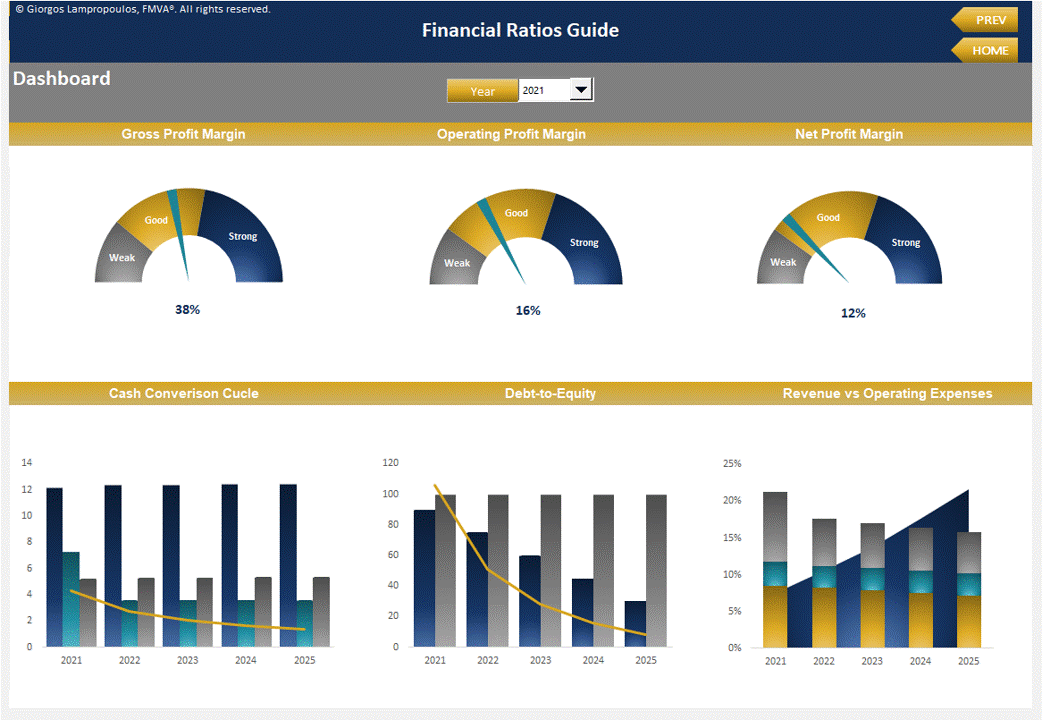 The Ultimate Guide to Financial Ratios (Excel template (XLSX)) Preview Image