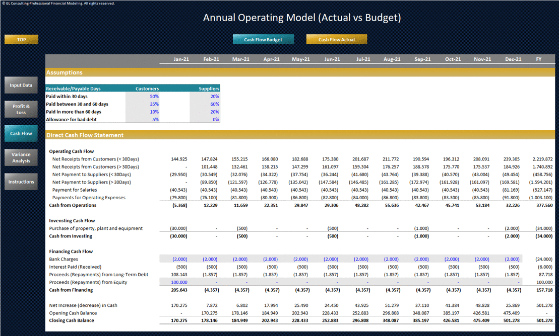 Annual Operating Plan - Actual vs Budget Template (Excel template (XLSX)) Preview Image