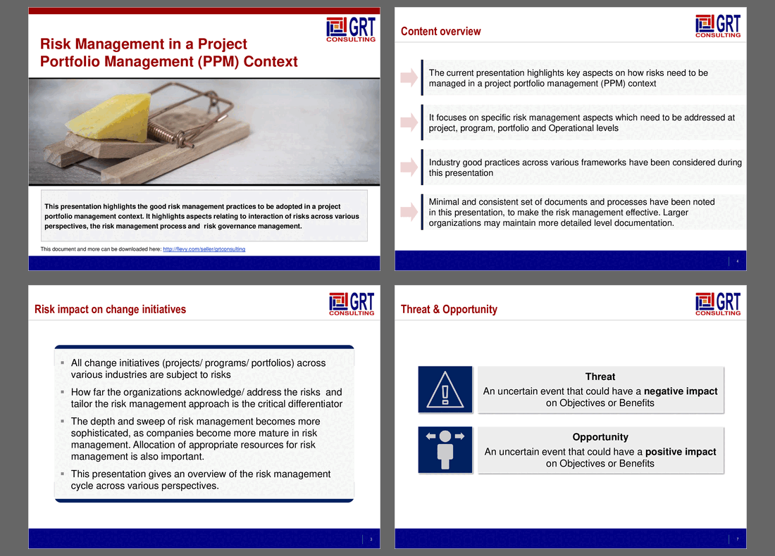 Risk Management in a Project Portfolio Management (PPM) Context