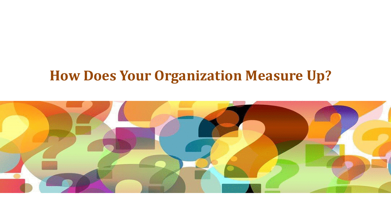 This is a partial preview of How Does Your Organization Measure Up? (13-page PDF document). Full document is 13 pages. 