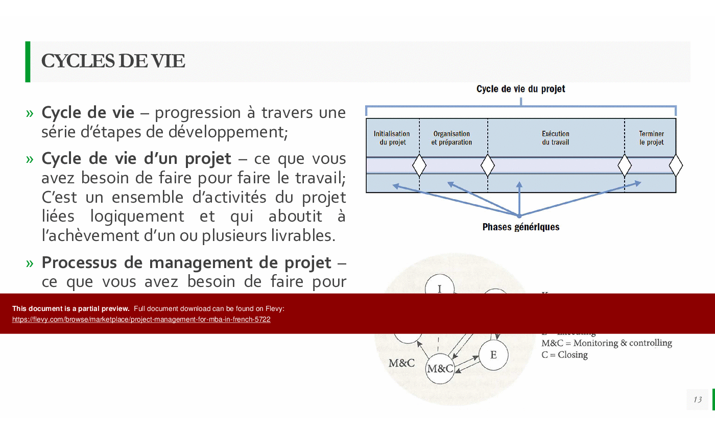 This is a partial preview of Management de Projet pour MBA (223-slide PowerPoint presentation (PPTX)). Full document is 223 slides. 
