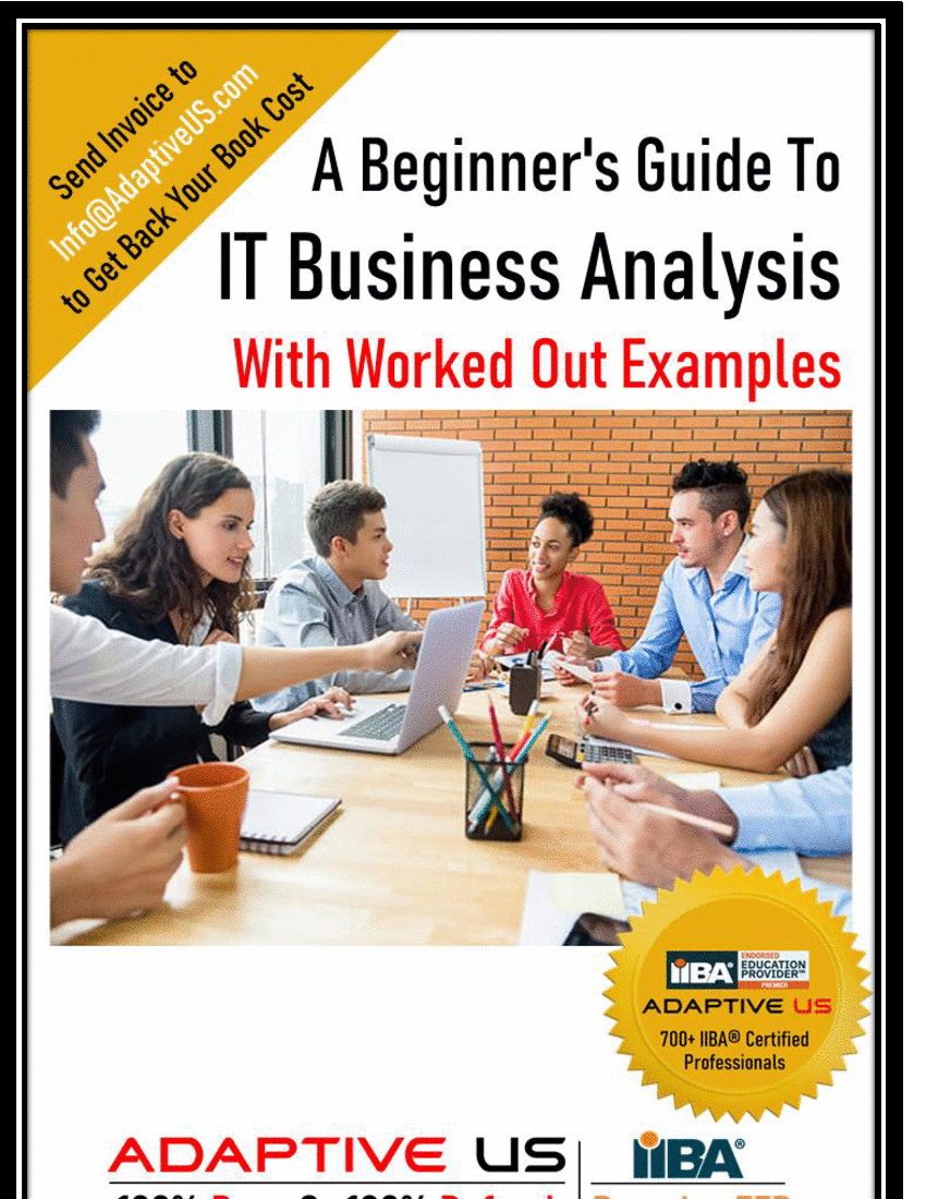 A Beginner's Guide to IT Business Analysis (167-page PDF document) Preview Image