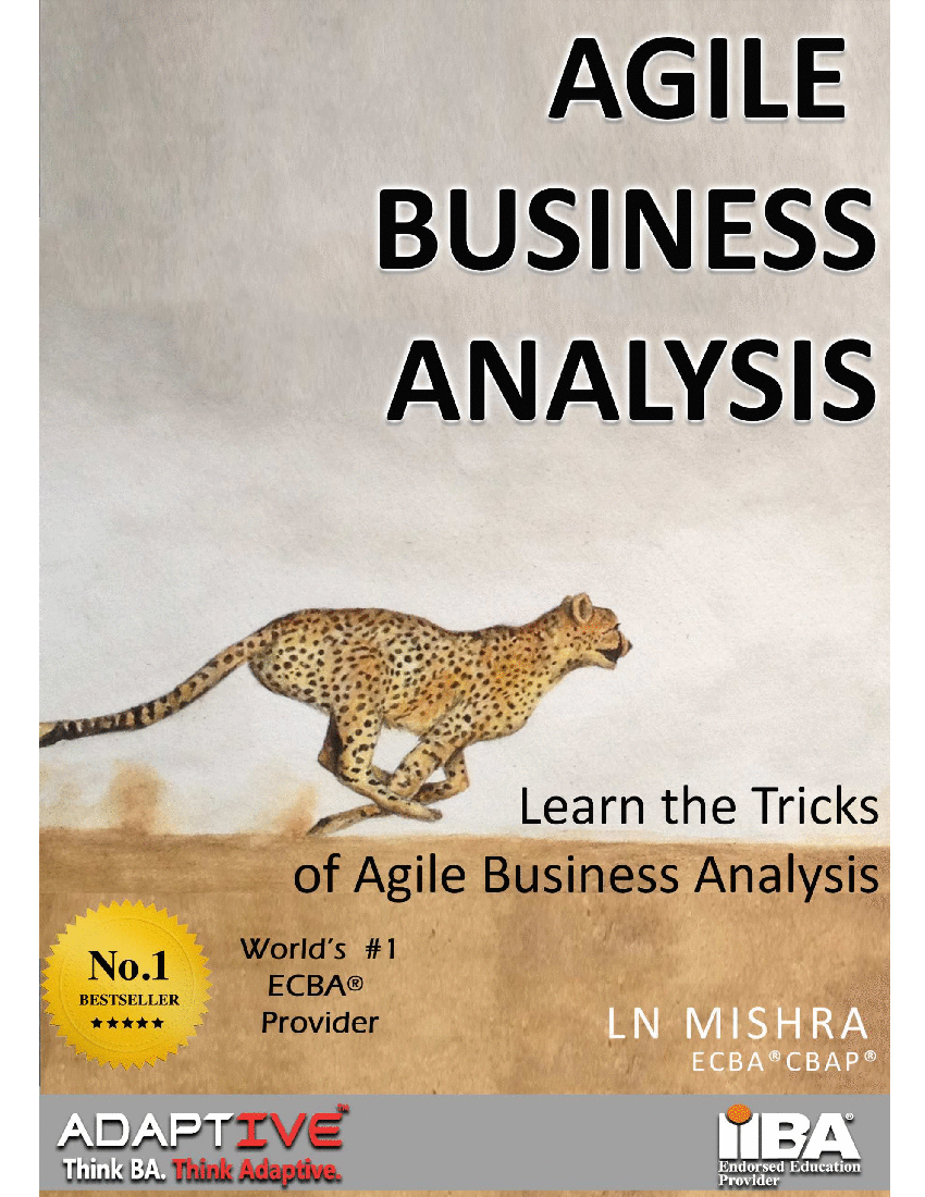 Agile Business Analysis (180-page Word document) Preview Image