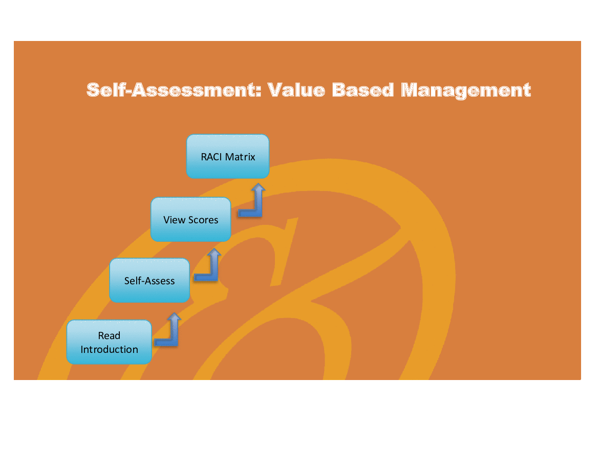 Value Based Management (VBM) - Implementation Toolkit