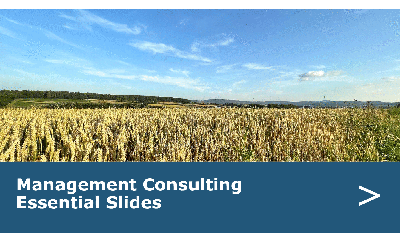 Management Consulting - Essential Slides (22 Templates)