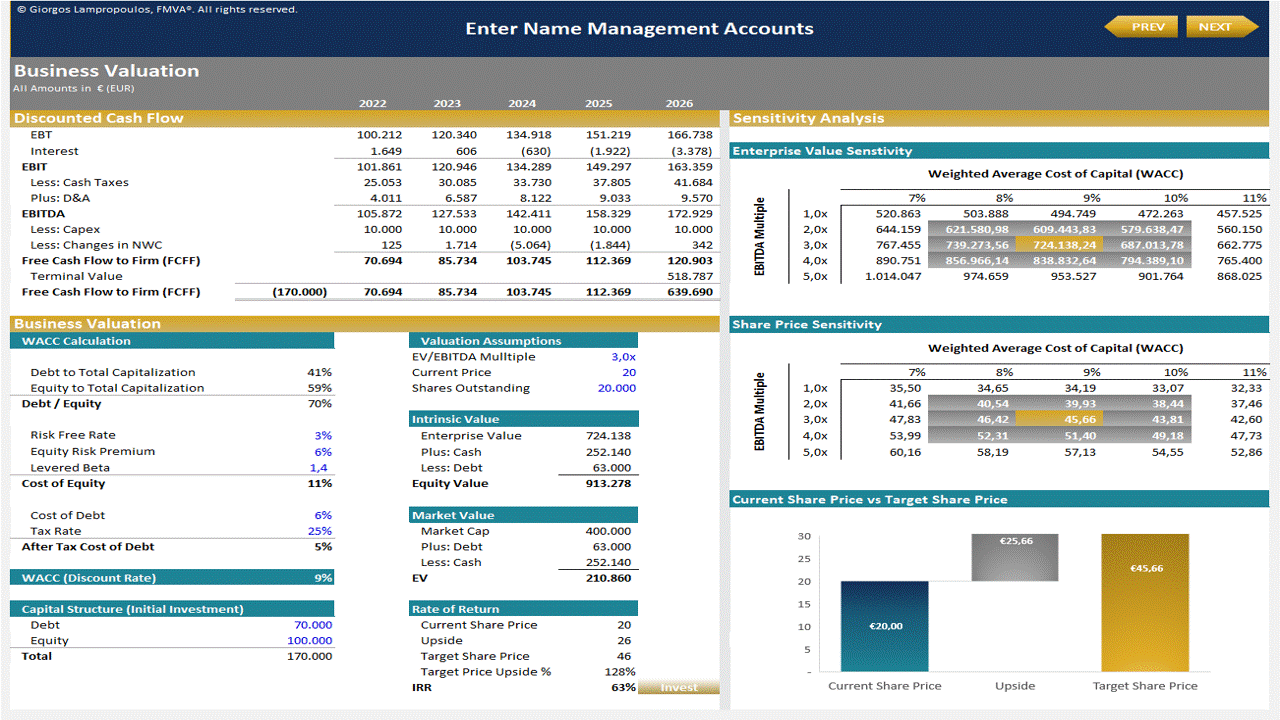 From Trial Balance to Business Valuation (Excel template (XLSX)) Preview Image