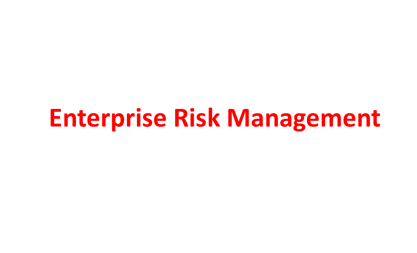 Enterprise Risk Management