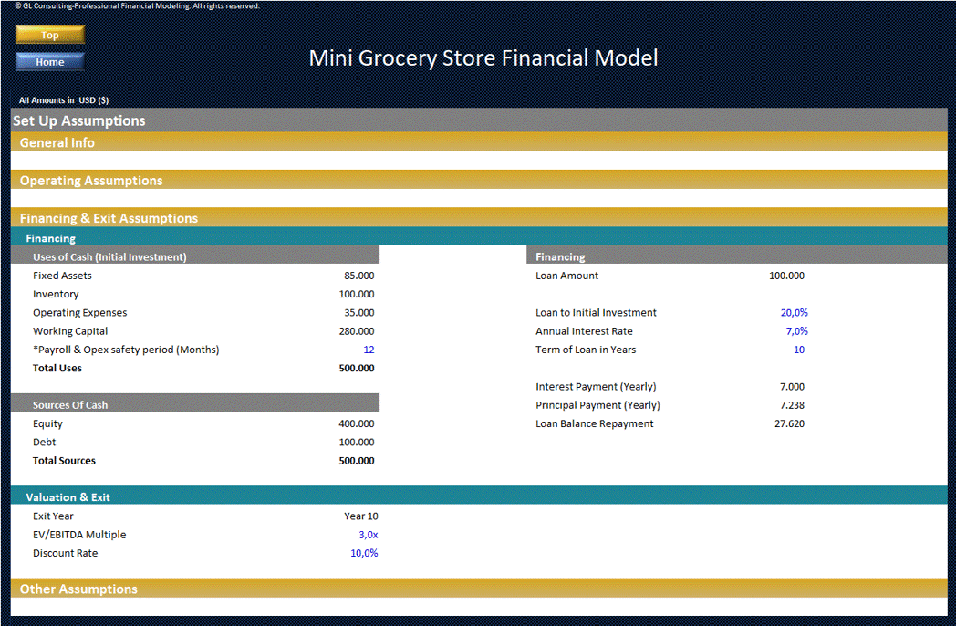 This is a partial preview of Mini Grocery Store - Dynamic 10 Year Financial Model. 