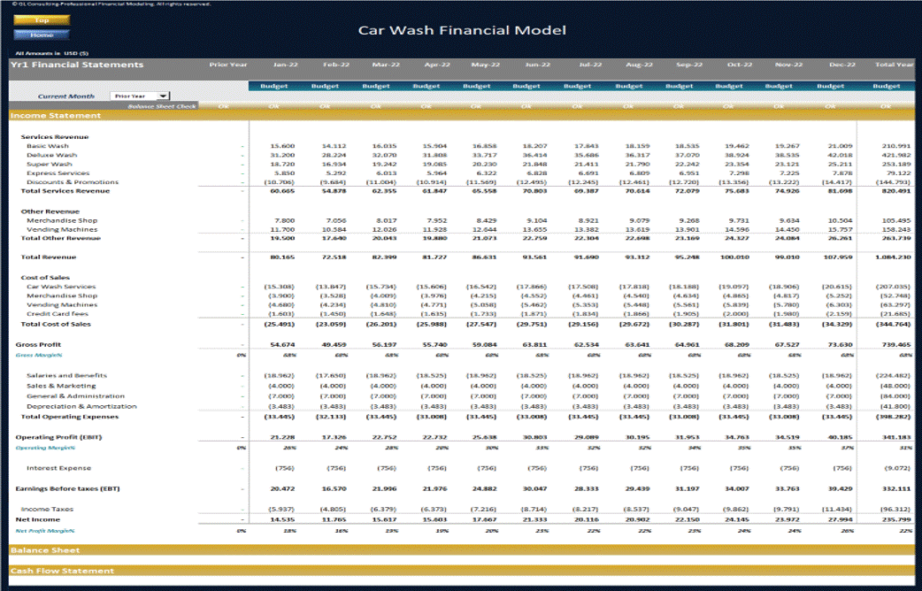 Car Wash Financial Model - Dynamic 10 Year Business Plan (Excel template (XLSX)) Preview Image