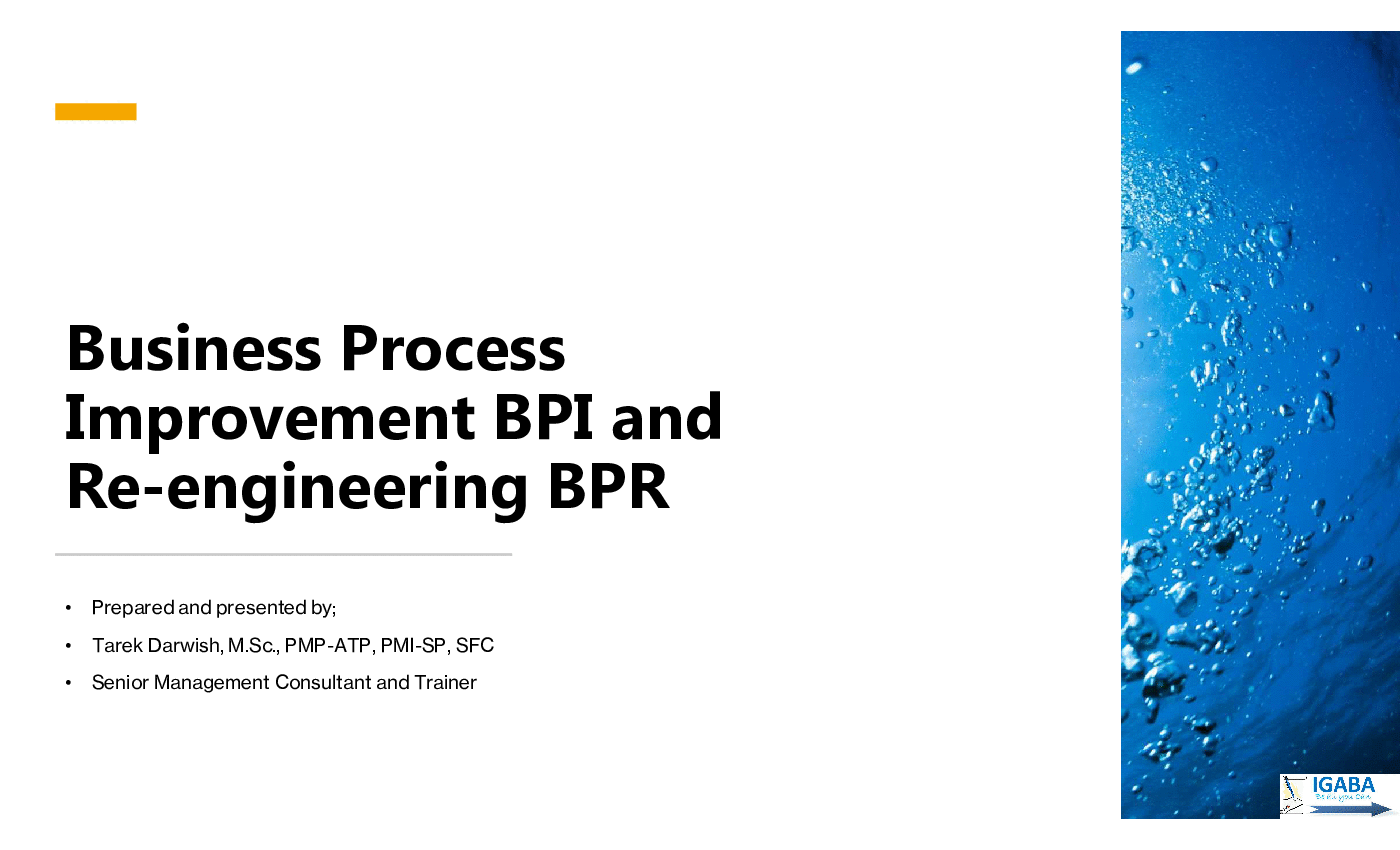 Business Process Improvement and Re-engineering