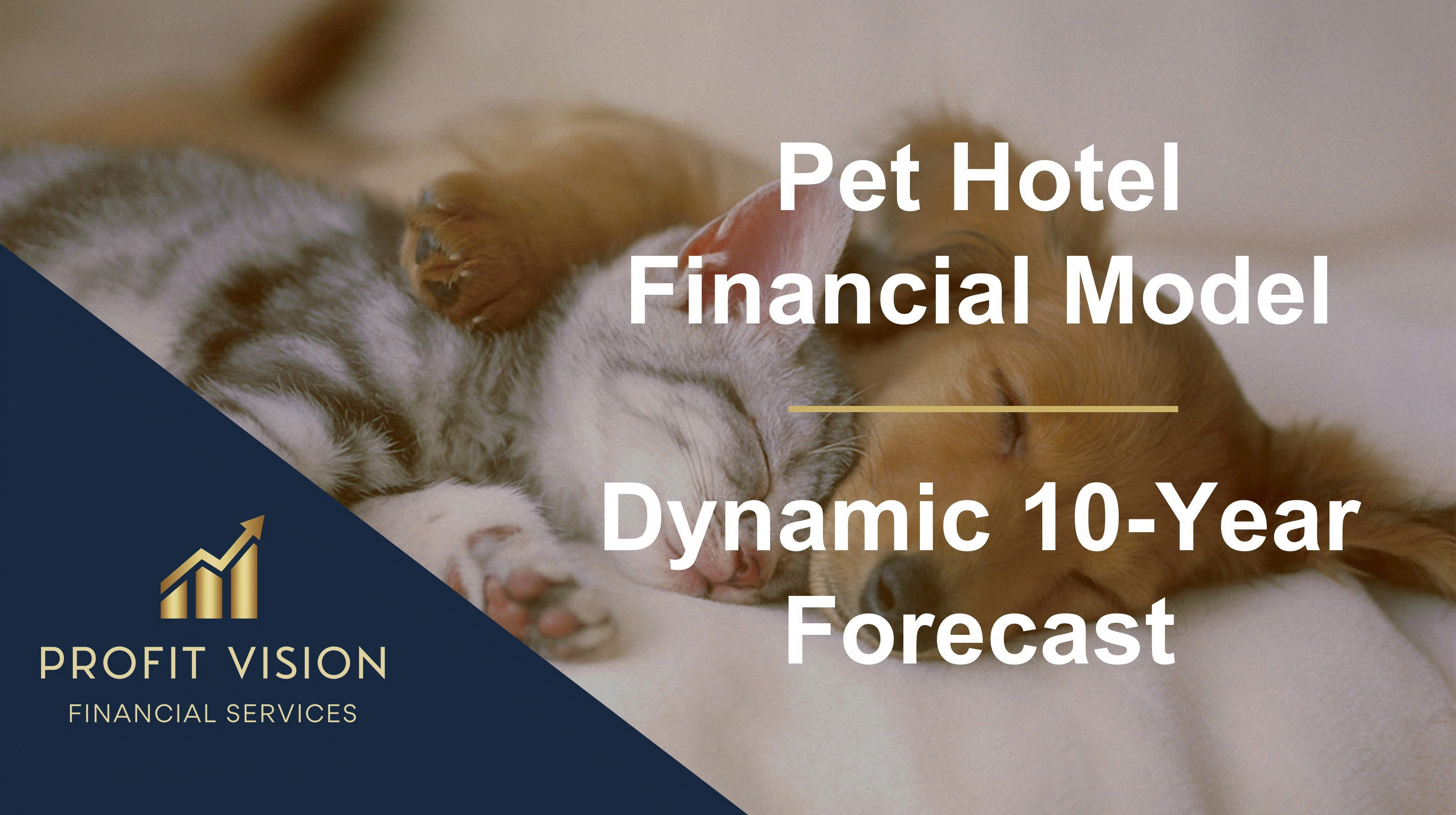 Pet Hotel Financial Model - Dynamic 10 Year Forecast (Excel template (XLSX)) Preview Image