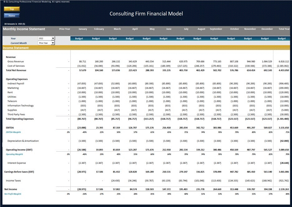 Consulting Firm Financial Model - Dynamic 10 Year Forecast (Excel template (XLSX)) Preview Image