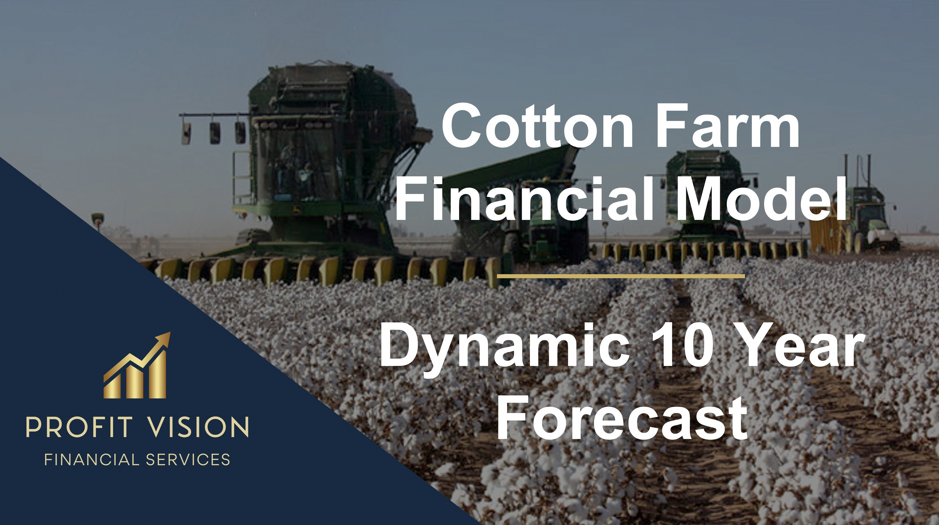 Cotton Farm Financial Model - Dynamic 10 Year Forecast