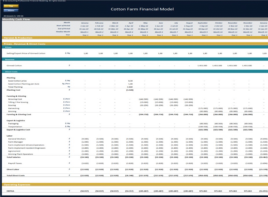 Cotton Farm Financial Model - Dynamic 10 Year Forecast (Excel workbook (XLSX)) Preview Image