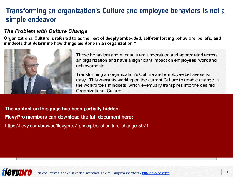 7 Principles of Culture Change (28-slide PPT PowerPoint presentation (PPTX)) Preview Image