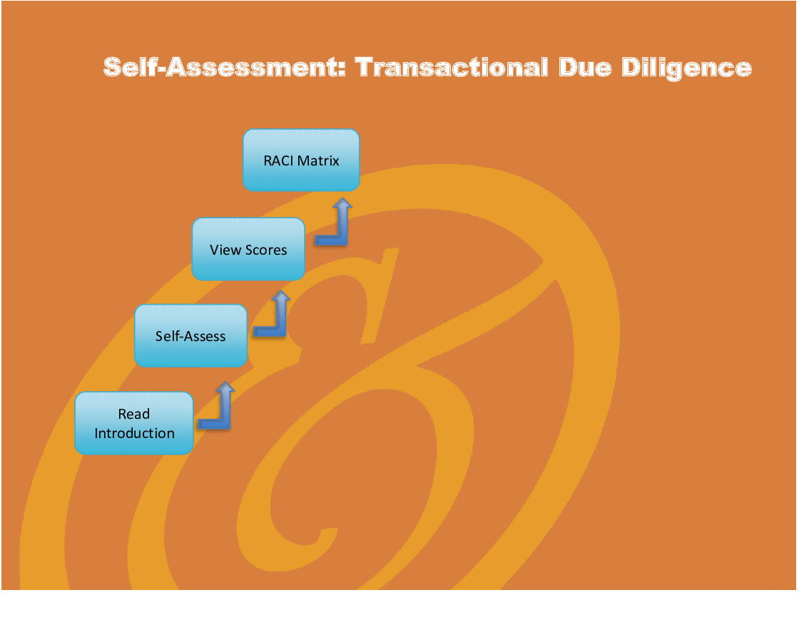 Transactional Due Diligence (DD) - Implementation Toolkit